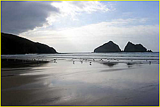 Cornwall Tourism Magazine - Beaches in Cornwall - Hollywell Bay